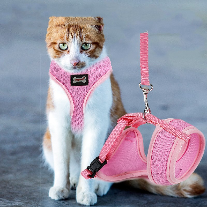 Anti-Skidding Cat Harness for Secure Outdoor Walks