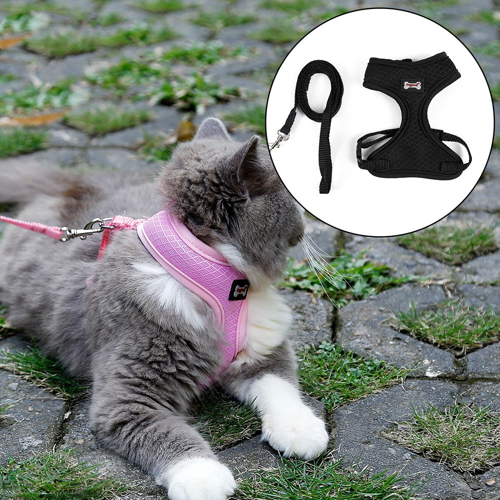 Anti-Skidding Cat Harness for Secure Outdoor Walks