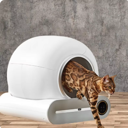 Self-Cleaning Smart Litter Box for Cats & Multi-Cat Homes